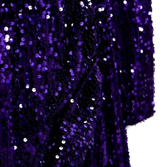 Zara SEQUIN BLAZER DRESS bloggers Favorite - Picture 9 of 10